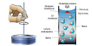 7. Irudia: Kapilaritatea. Atxikidura indarrek beiratik �igoarazten� dituzte inguruko ur molekulak; molekula horiek aldamenekoak ere eramaten dituzte, kohesioz. Hori guztia dela-eta, gorantz egiten du isurkariak, grabitatearen kontra, ertzetatik, eta meniskoak eratzen ditu.<br><br>77